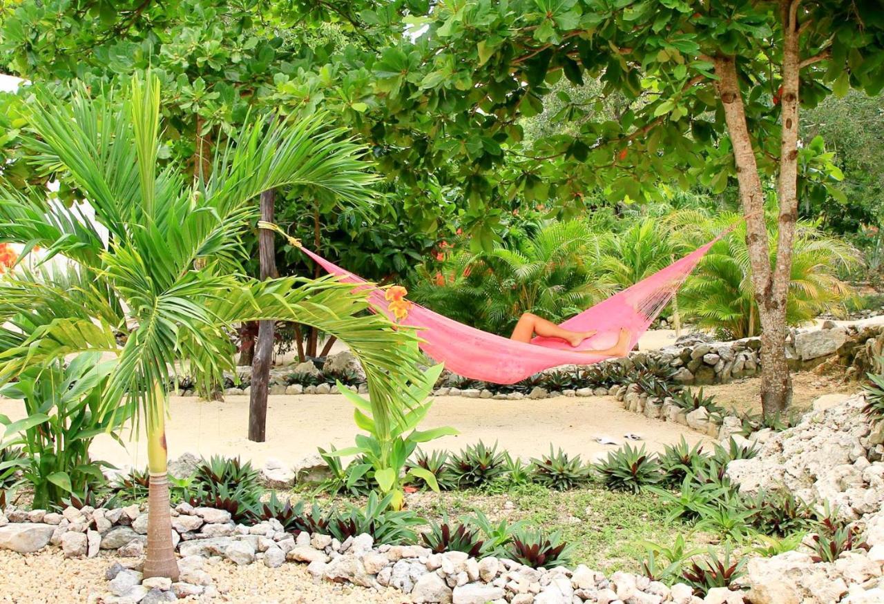 Camp Akumal - Hosted Family Bungalows Zewnętrze zdjęcie